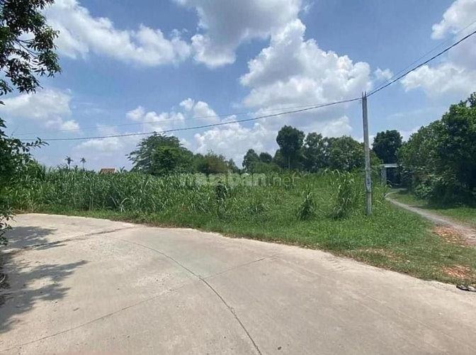 Công ty Đấu giá hợp danh Lam Sơn Sài Gòn THÔNG BÁO ĐẤU GIÁ TÀI SẢN