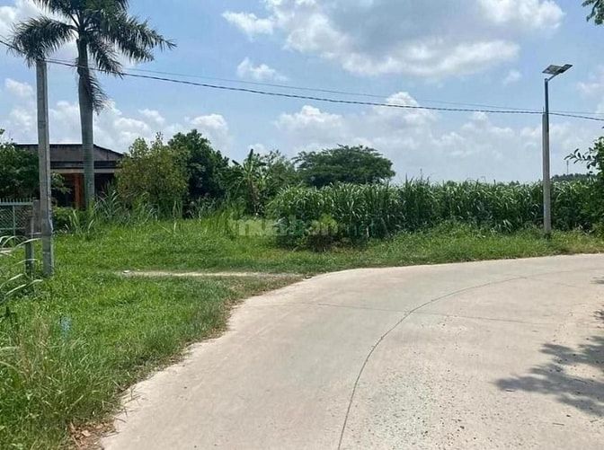 Công ty Đấu giá hợp danh Lam Sơn Sài Gòn THÔNG BÁO ĐẤU GIÁ TÀI SẢN