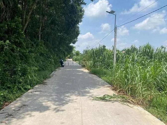 Công ty Đấu giá hợp danh Lam Sơn Sài Gòn THÔNG BÁO ĐẤU GIÁ TÀI SẢN