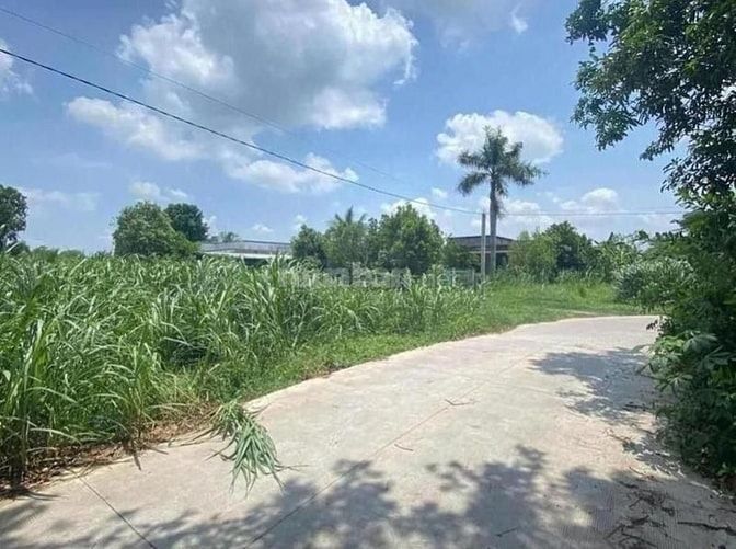 Công ty Đấu giá hợp danh Lam Sơn Sài Gòn THÔNG BÁO ĐẤU GIÁ TÀI SẢN