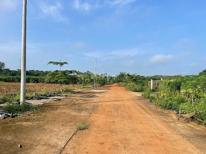 Công ty Đấu giá hợp danh Lam Sơn Sài Gòn THÔNG BÁO ĐẤU GIÁ TÀI SẢN