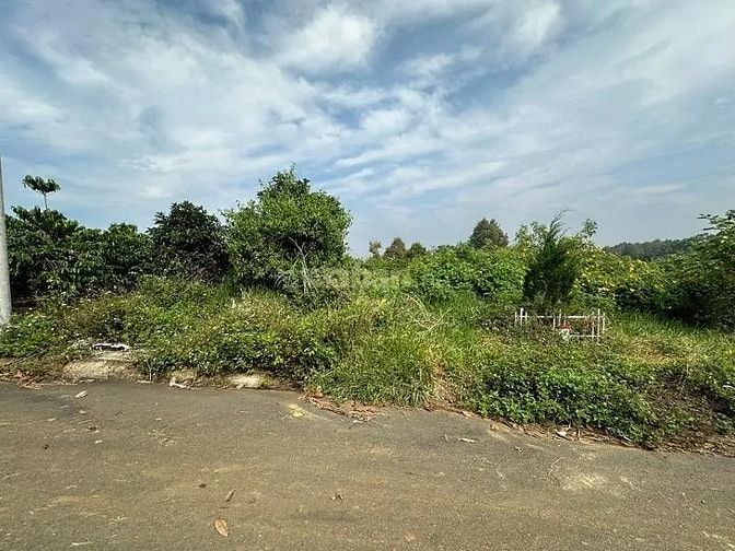 Công ty Đấu giá hợp danh Lam Sơn Sài Gòn THÔNG BÁO ĐẤU GIÁ TÀI SẢN