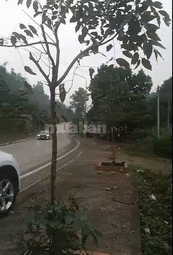 Chuyển nhượng đất thành phố Hòa Bình