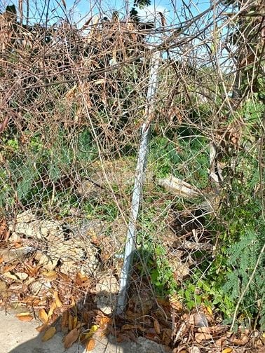 Chỉ 1,9 tỷ có căn nhà vườn xinh xắn15x19,5m 289m2,100 thổ cư hẻm ôto  