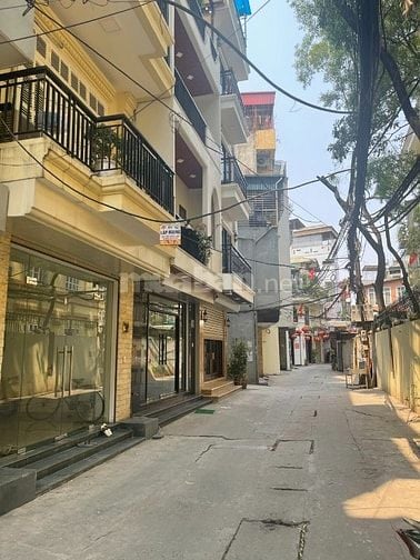 Bán nhà phố Trần Khát Chân ô tô tránh, kinh doanh, Dt 45m2, 5t, giá 10