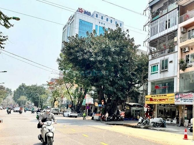 Cho thuê MBKD mặt đường Cát Linh giá 42tr/tháng TDT150m2