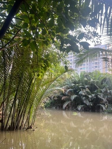 Kẹt vốn bán Nhà full nội thất View Sông Rạch lớn giá cực tốt 