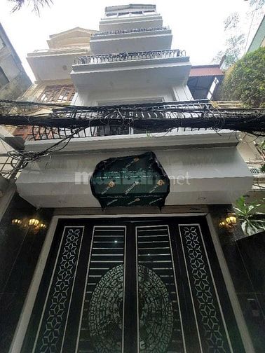 Siêu phẩm phân lô Thái Thịnh 55m, 6 tầng, 15.5 tỷ 