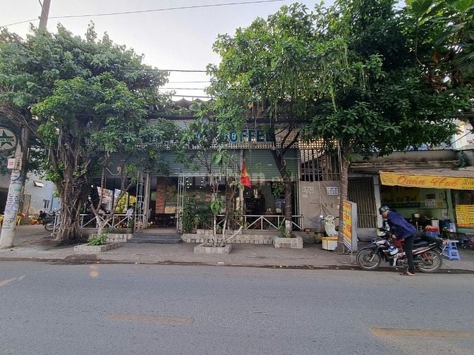Bán nhà mặt TIỀN ĐƯỜNG CHÍNH kinh doanh 260m2