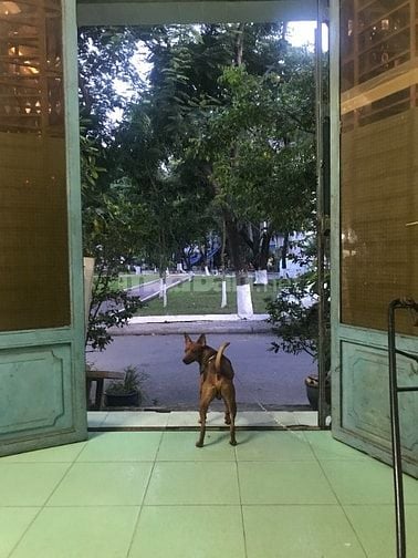 Chính chủ bán nhà mặt tiền đường, trước mặt nhà là công viên 