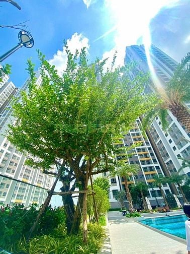Căn hộ độc quyền tầng cao view hồ bơi hướng cầu Phú mỹ