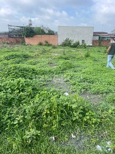 Chính chủ bán gấp đất Trảng dài Biên hòa Đồng nai giá 1ty520