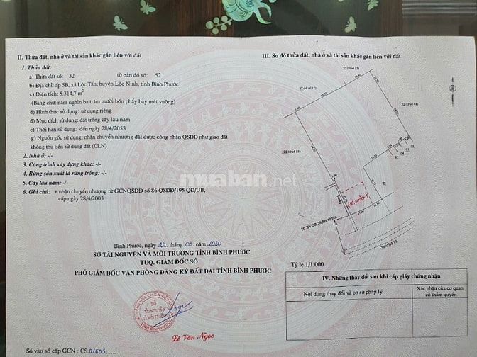 Đất Mặt tiền Quốc Lộ 13, xã Lộc Tấn, Lộc Ninh, Bình Phước, 5300m2