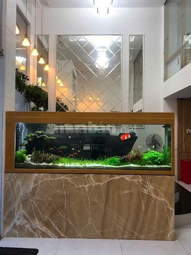 Bán tòa nhà đường 68 Thạnh Mỹ Lợi Quận 2 giá 62 tỷ View Công Viên