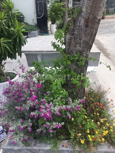 Bán tòa nhà đường 68 Thạnh Mỹ Lợi Quận 2 giá 62 tỷ View Công Viên