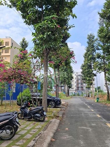 Bán tòa nhà đường 68 Thạnh Mỹ Lợi Quận 2 giá 62 tỷ View Công Viên
