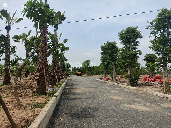 Chính chủ bán 244m2 đất tại Thôn Kiều Đông, Hồng Thái, An Dương, HP