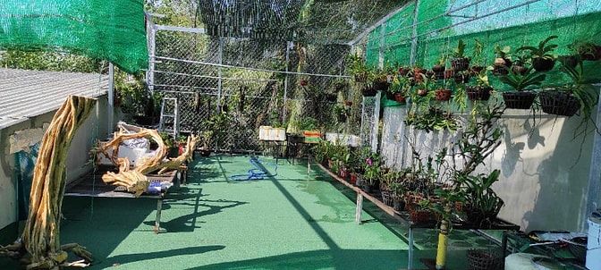 Bán nhà gần cầu ông nhiêu Long Trường 