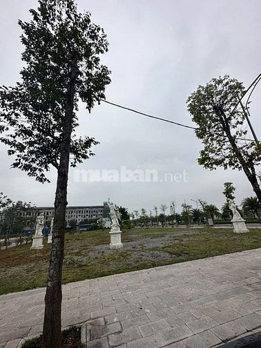 Cần bán lô đất đẹp tại khu đô thị Danko Avenue, Sông Công, Thái Nguyên