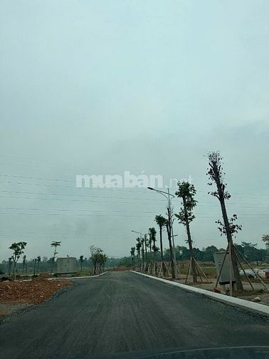 Cần bán lô đất đẹp tại khu đô thị Danko Avenue, Sông Công, Thái Nguyên