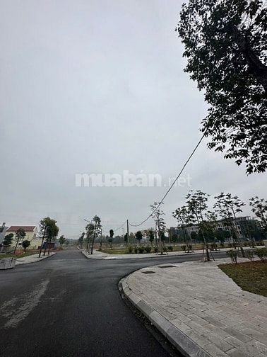 Cần bán lô đất đẹp tại khu đô thị Danko Avenue, Sông Công, Thái Nguyên