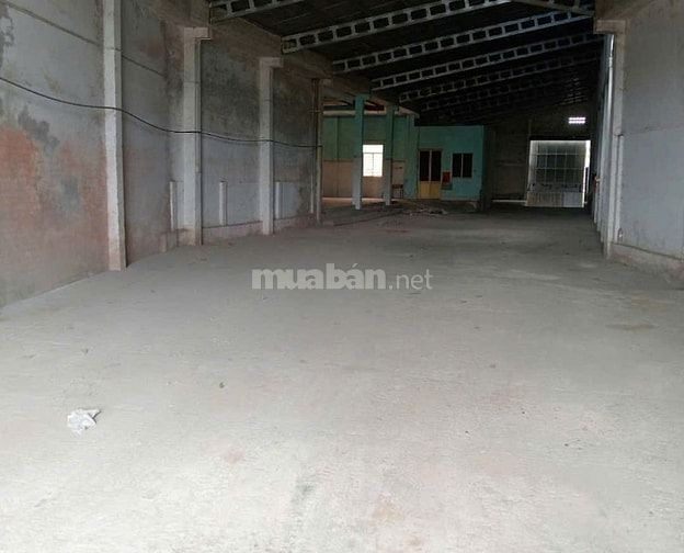 CHO THUÊ KHO 2.500M2 - MẶT TIỀN ĐƯỜNG XE CONTAINER - MỎ CÀY NAM 