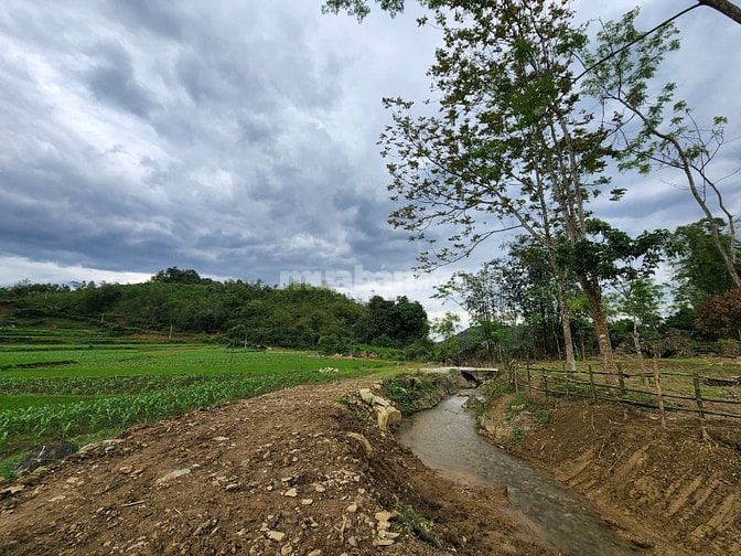 Bán gấp 3500m Tuyệt đẹp bám suối thác giá rẻ Tân Lạc Hoà Bình