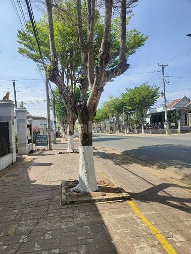 Chủ cần bán lô đất mặt tiền huỳnh minh thạnh cách hồ tràm 6km
