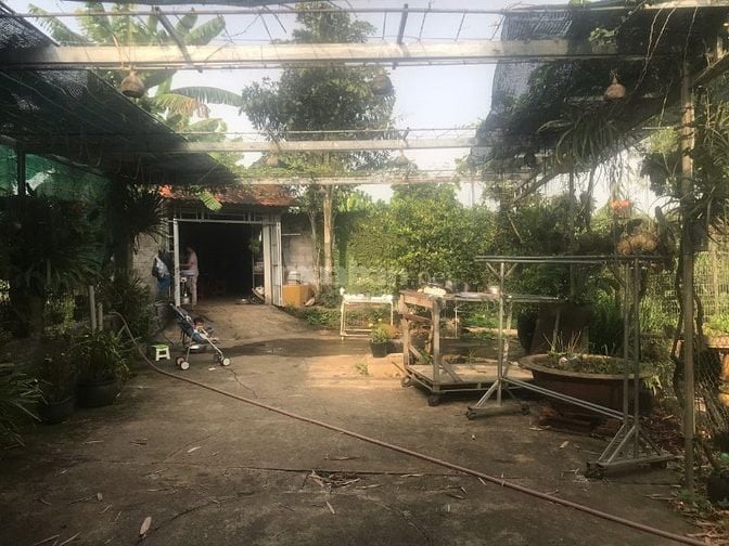 Cơ Hội Sở Hữu Đất Vườn 2400m² Tại Vĩnh Cửu – View Sông Thoáng Mát, 