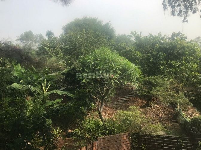 Cơ Hội Sở Hữu Đất Vườn 2400m² Tại Vĩnh Cửu – View Sông Thoáng Mát, 