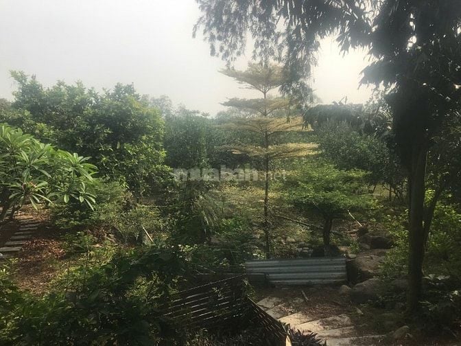 Cơ Hội Sở Hữu Đất Vườn 2400m² Tại Vĩnh Cửu – View Sông Thoáng Mát, 