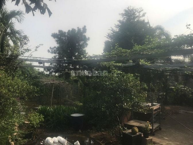 Cơ Hội Sở Hữu Đất Vườn 2400m² Tại Vĩnh Cửu – View Sông Thoáng Mát, 