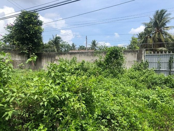 Bán Nhà và Đất 614m2 tại Tân Thanh, Giồng Trôm, Bến Tre