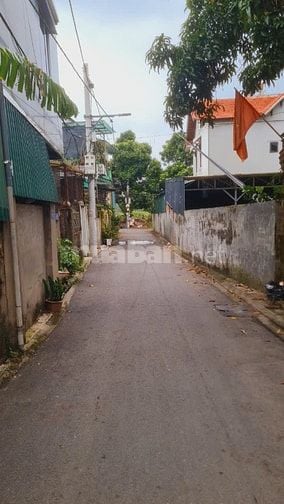 Cần bán 100m2 đất 2 mặt ngõ oto phố tứ liên quận tây hồ