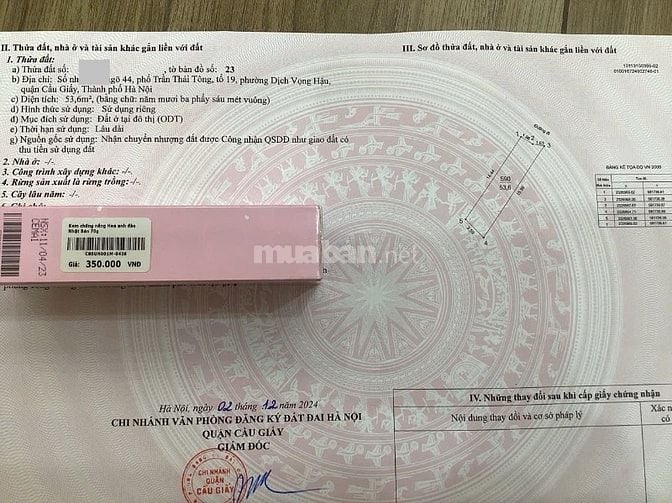 Bán đất thổ cư ngõ 44 Trần Thái Tông