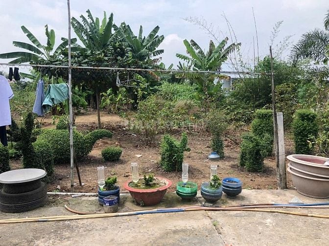 Đất chính chủ-miễn tiếp anh em môi giới đất