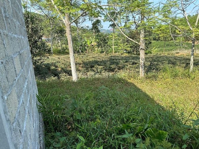Bán mảnh đất 500m2 tại Phúc Trìu Thái Nguyên đầu tư sinh lời 