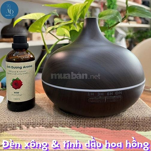 Tinh dầu Ánh Dương - Máy xông tinh dầu