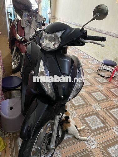 Xe mới 99% còn bảo hành bán 29t