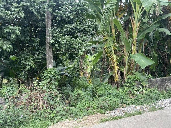 Bán đất tại thôn Sấu Hạ, Xã Thanh Cao, Lương Sơn, Hòa Bình