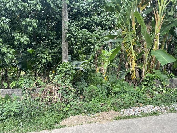 Bán đất tại thôn Sấu Hạ, Xã Thanh Cao, Lương Sơn, Hòa Bình
