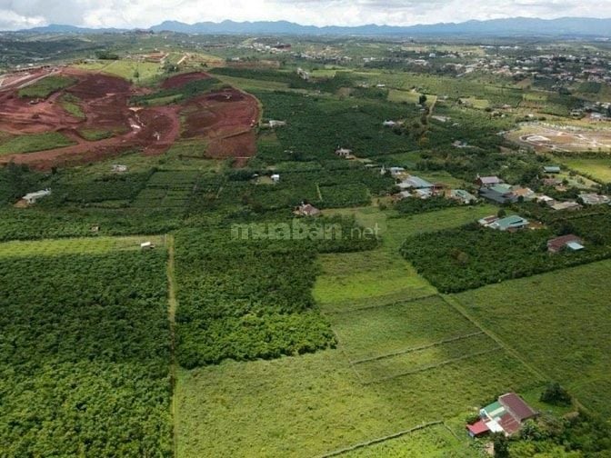 BÁN ĐẤT ĐƯỜNG LÝ THƯỜNG KIỆT PHƯỜNG LỘC PHÁT - NGAY NÚT GIAO CAO TỐC 