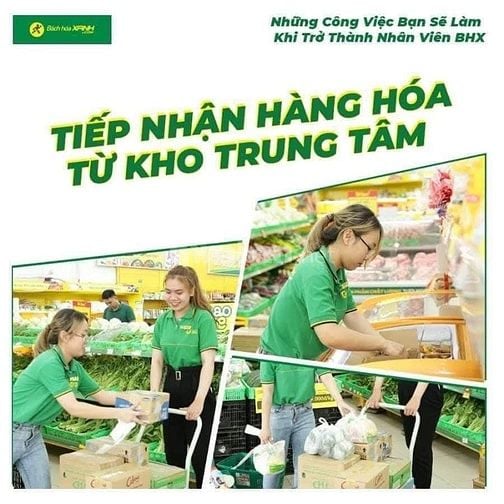 Cơ Hội Việc Làm Mùa Hè: Bán Hàng, Tạp Vụ, Bảo Vệ – Nhận Việc Ngay!