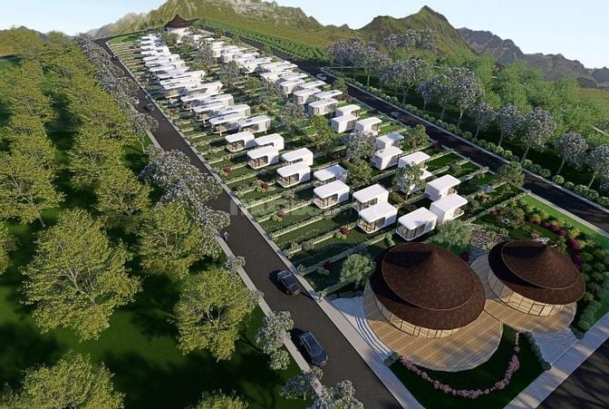 NHÀ PHI THUYỀN - HOMESTAY NGAY ĐỒI CHÈ TÂM CHÂU