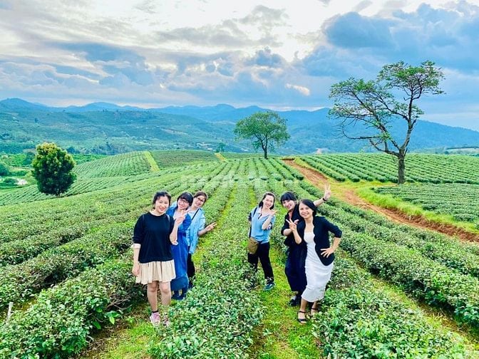 NHÀ PHI THUYỀN - HOMESTAY NGAY ĐỒI CHÈ TÂM CHÂU
