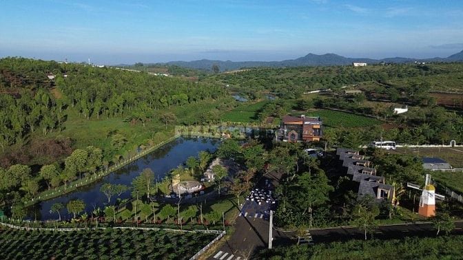 NHÀ PHI THUYỀN - HOMESTAY NGAY ĐỒI CHÈ TÂM CHÂU
