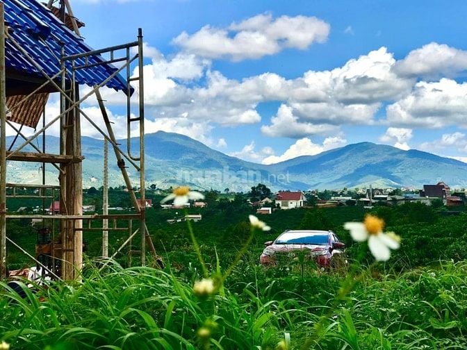 Đất 8x30m, Thổ Cư, Cách Chợ Đinh Lạc Di Linh 3km