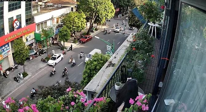 Căn hộ Triplex (thông 3,5 tầng)