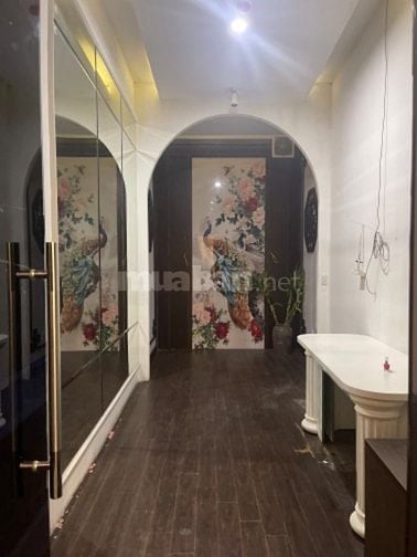 Căn hộ Triplex (thông 3,5 tầng)