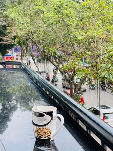 Căn hộ Triplex (thông 3,5 tầng)